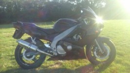 Picture
