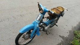 Picture