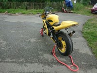 Picture