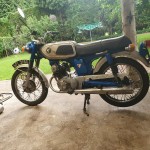 Picture